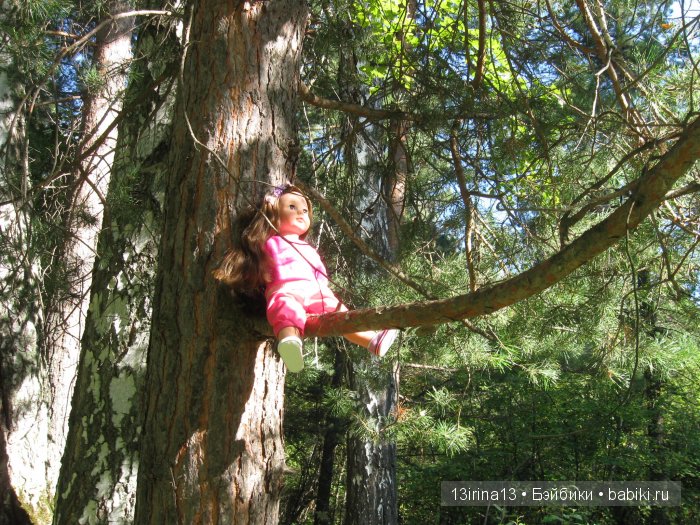 В тиши Сибирского августовского леса, 1 часть