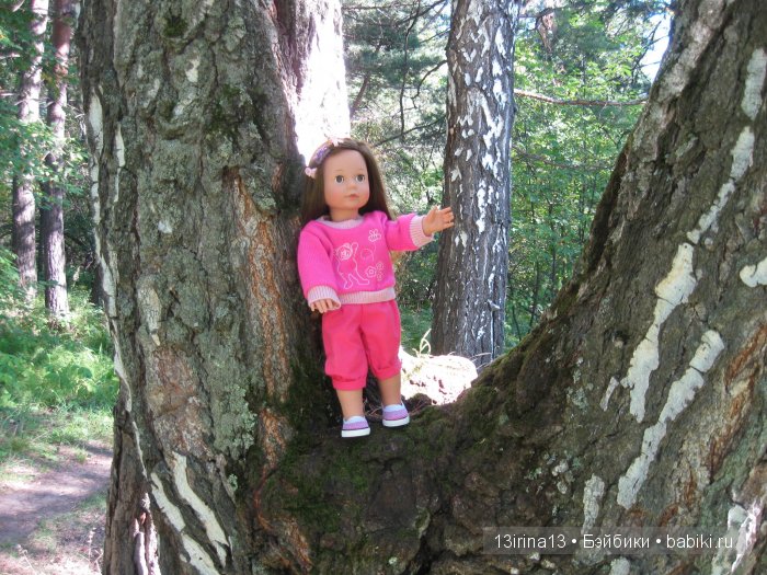 В тиши Сибирского августовского леса, 1 часть