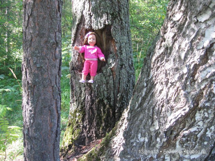 В тиши Сибирского августовского леса, 1 часть