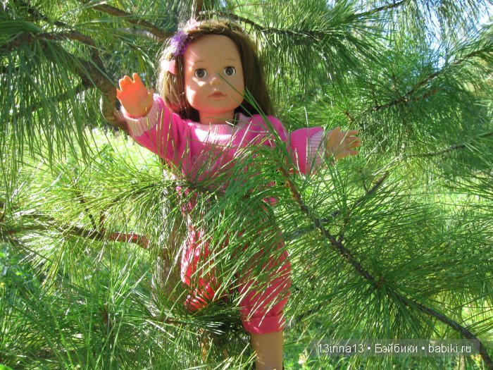 В тиши Сибирского августовского леса, 1 часть