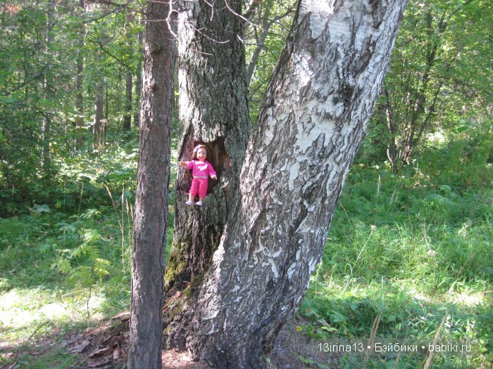 В тиши Сибирского августовского леса, 1 часть