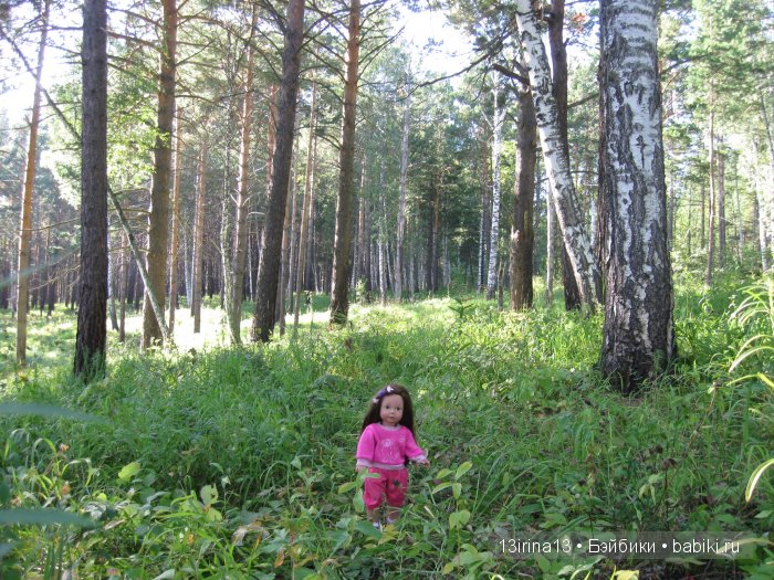 В тиши Сибирского августовского леса, 1 часть