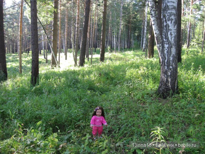 В тиши Сибирского августовского леса, 1 часть