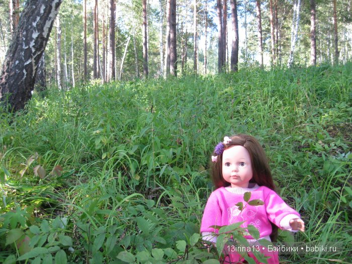В тиши Сибирского августовского леса, 1 часть