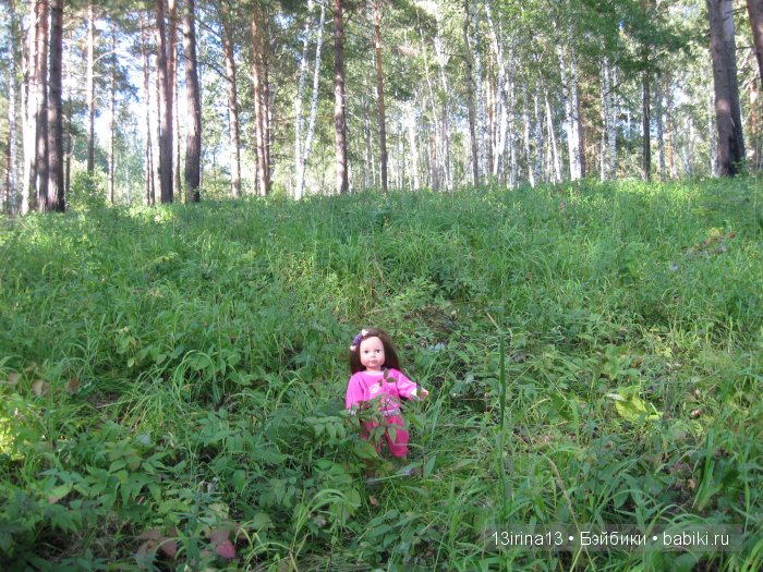 В тиши Сибирского августовского леса, 1 часть