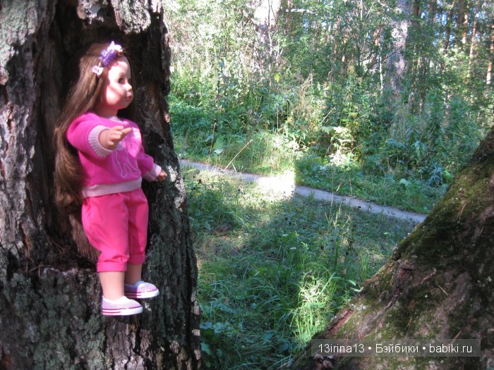 В тиши Сибирского августовского леса, 1 часть