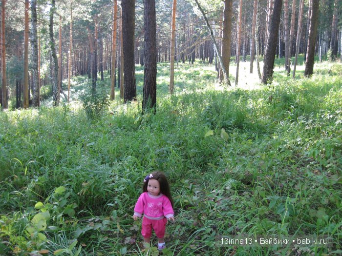 В тиши Сибирского августовского леса, 1 часть