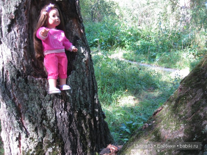 В тиши Сибирского августовского леса, 1 часть