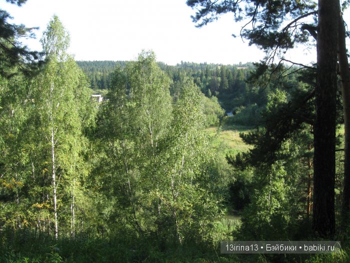 В тиши Сибирского августовского леса, 1 часть