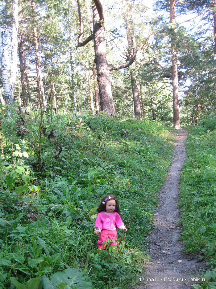 В тиши Сибирского августовского леса, 1 часть