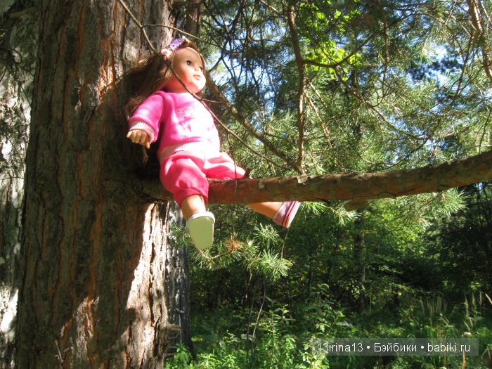 В тиши Сибирского августовского леса, 1 часть