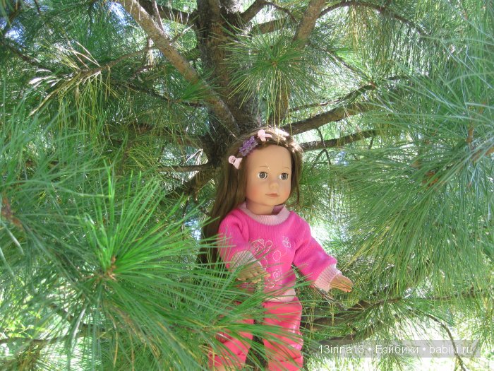 В тиши Сибирского августовского леса, 1 часть