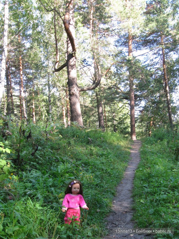 В тиши Сибирского августовского леса, 1 часть