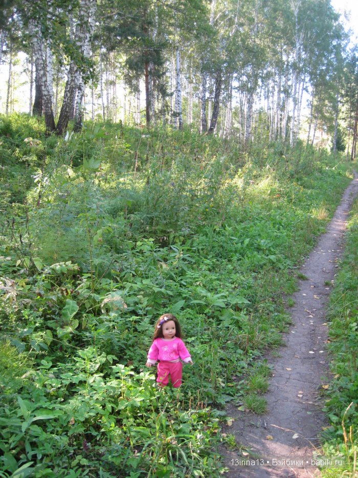 В тиши Сибирского августовского леса, 1 часть