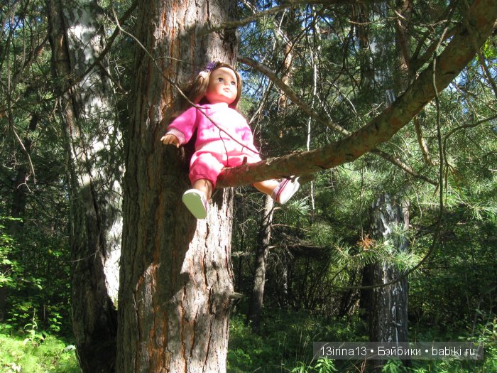 В тиши Сибирского августовского леса, 1 часть