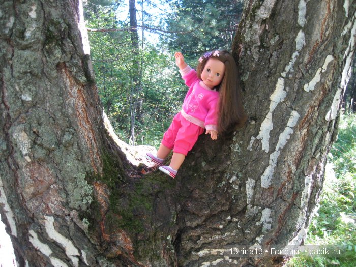 В тиши Сибирского августовского леса, 1 часть