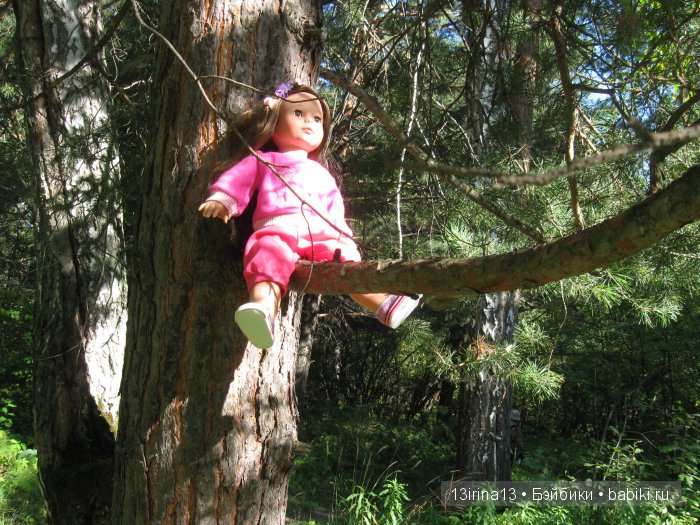 В тиши Сибирского августовского леса, 1 часть