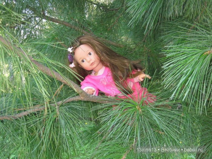 В тиши Сибирского августовского леса, 1 часть