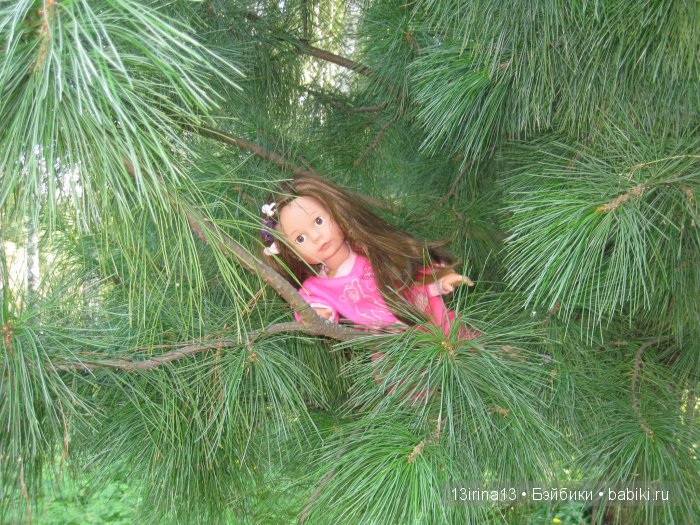 В тиши Сибирского августовского леса, 1 часть