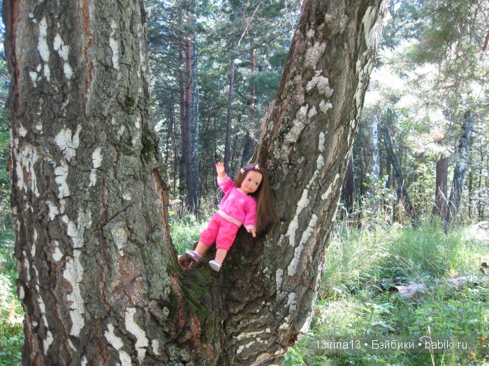 В тиши Сибирского августовского леса, 1 часть (фото 10)