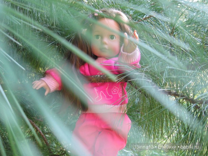 В тиши Сибирского августовского леса, 1 часть