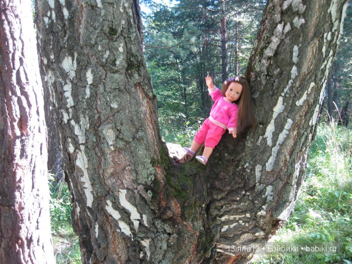 В тиши Сибирского августовского леса, 1 часть