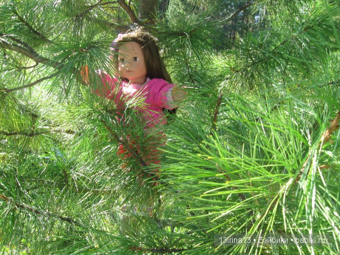 В тиши Сибирского августовского леса, 1 часть