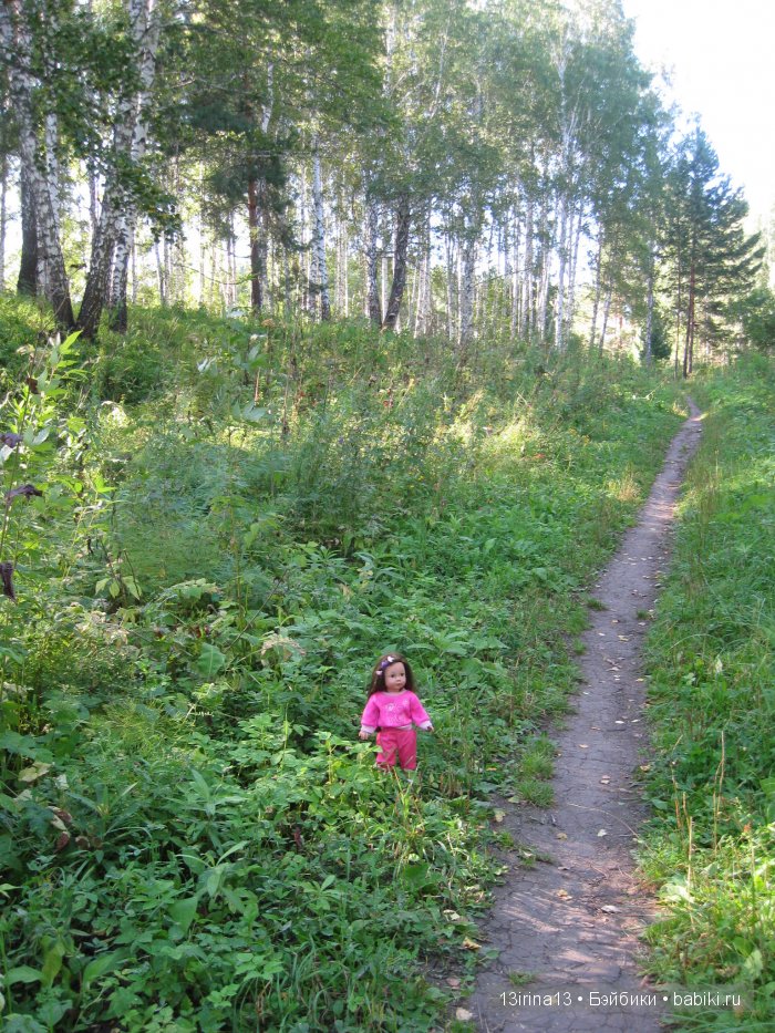 В тиши Сибирского августовского леса, 1 часть