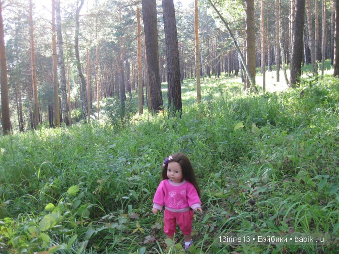 В тиши Сибирского августовского леса, 1 часть