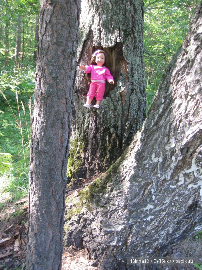 В тиши Сибирского августовского леса, 1 часть