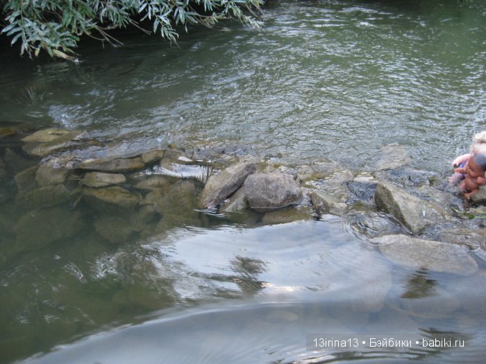 В тиши Сибирского августовского леса, 2 часть