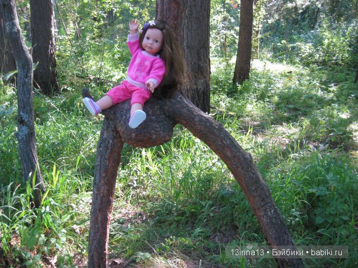 В тиши Сибирского августовского леса, 1 часть