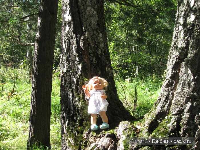 В тиши Сибирского августовского леса, 2 часть