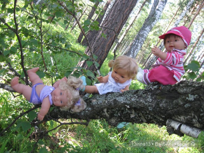 В тиши Сибирского августовского леса, 2 часть