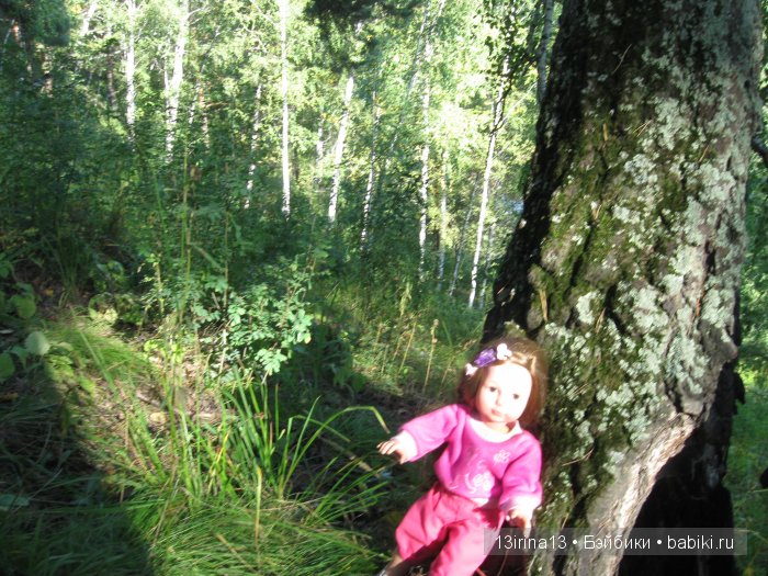 В тиши Сибирского августовского леса, 1 часть