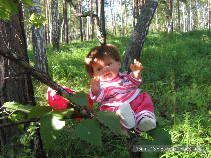 В тиши Сибирского августовского леса, 2 часть