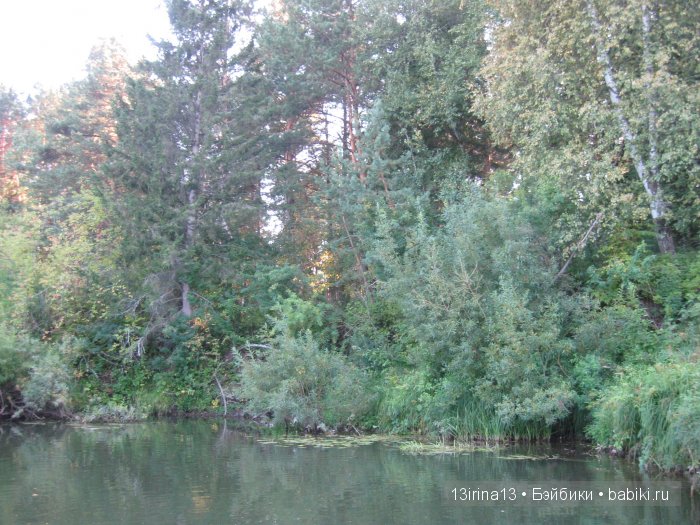 В тиши Сибирского августовского леса, 2 часть