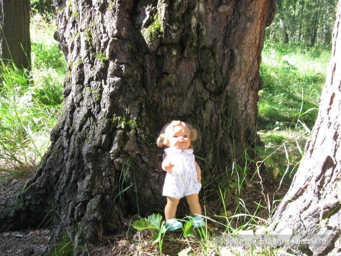 В тиши Сибирского августовского леса, 2 часть