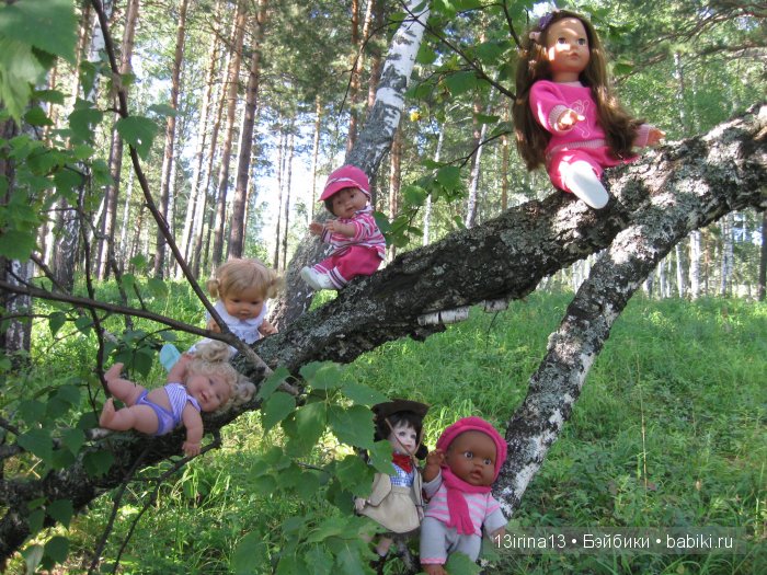 В тиши Сибирского августовского леса, 2 часть