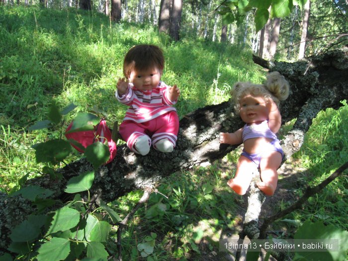 В тиши Сибирского августовского леса, 2 часть