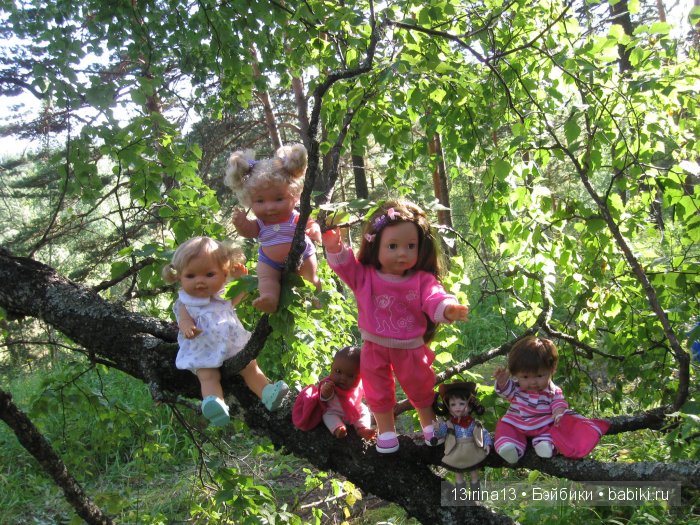 В тиши Сибирского августовского леса, 2 часть