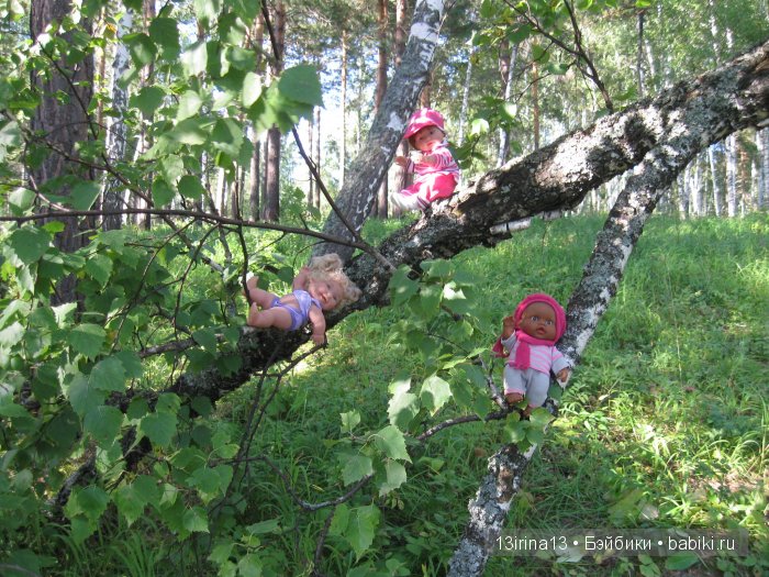 В тиши Сибирского августовского леса, 2 часть