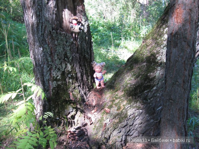 В тиши Сибирского августовского леса, 2 часть