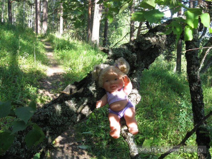 В тиши Сибирского августовского леса, 2 часть