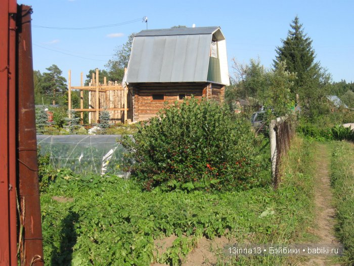 В тиши Сибирского августовского леса, 2 часть