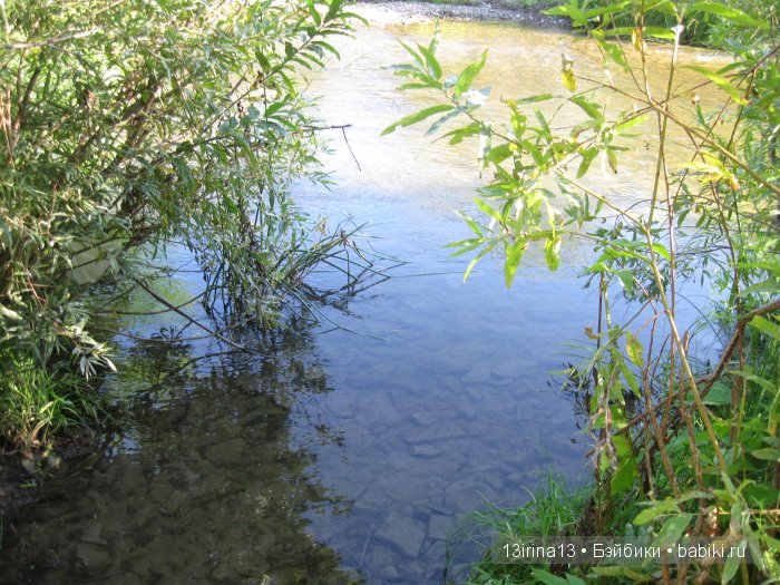 В тиши Сибирского августовского леса, 1 часть