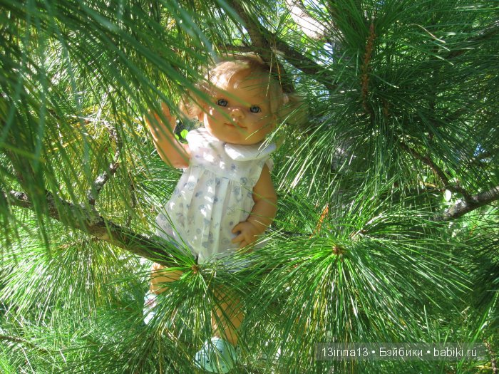 В тиши Сибирского августовского леса, 2 часть