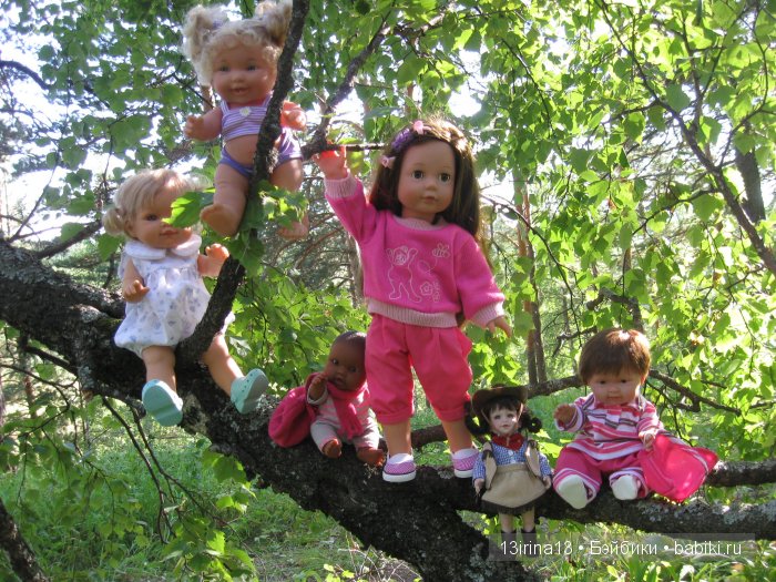 В тиши Сибирского августовского леса, 2 часть