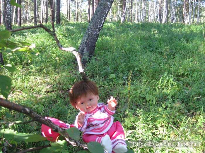 В тиши Сибирского августовского леса, 2 часть