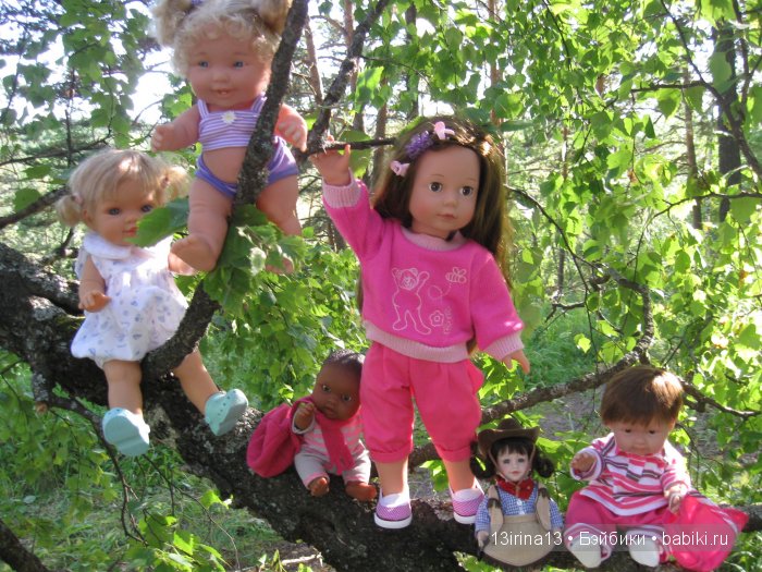 В тиши Сибирского августовского леса, 2 часть